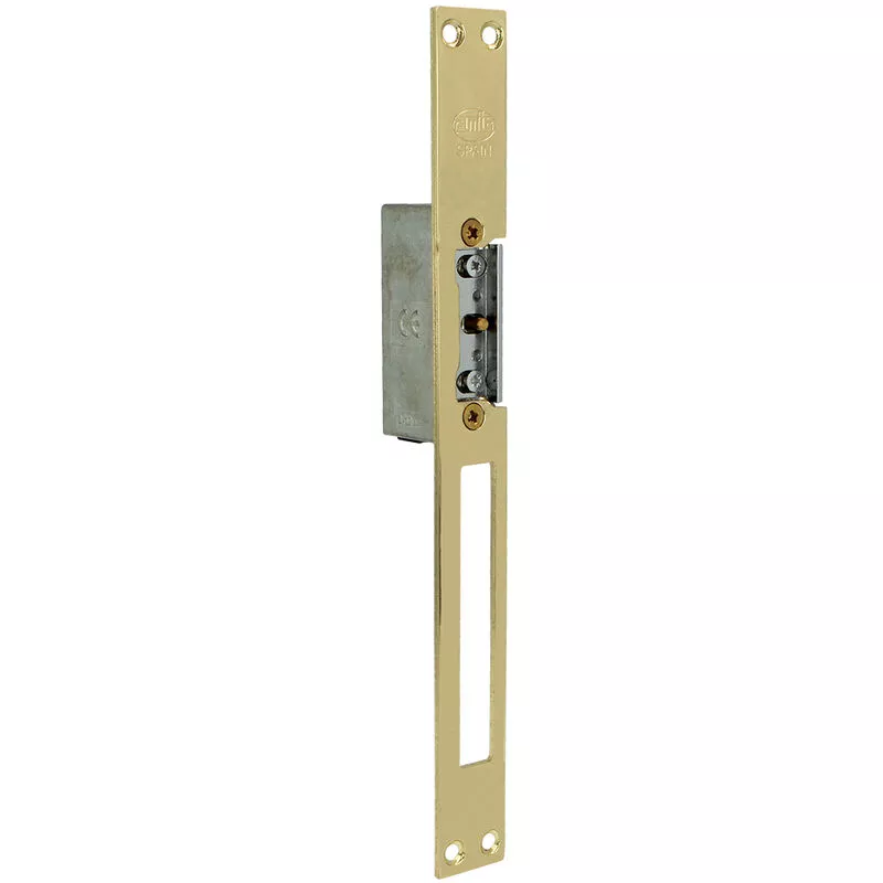 Amig - Cerradero eléctrico Acero Latonado barnizado modelo 21 barato