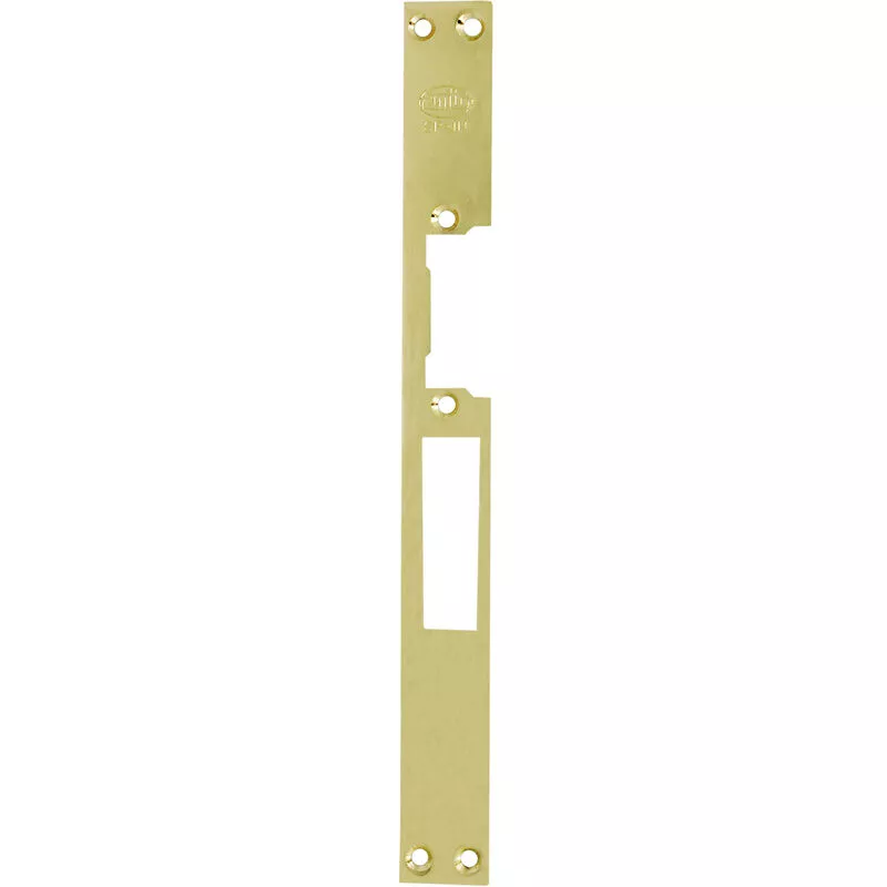 Amig - Frente cerradero Acero Latonado barnizado modelo 35 barato