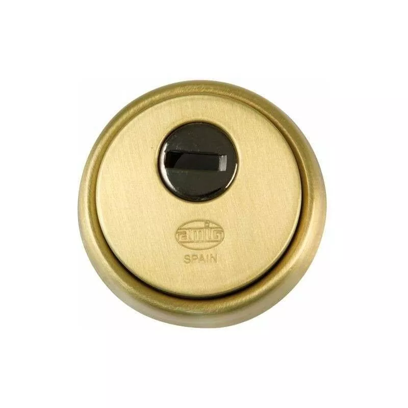Amig - bocallave escudo 31 65 laton mate barato
