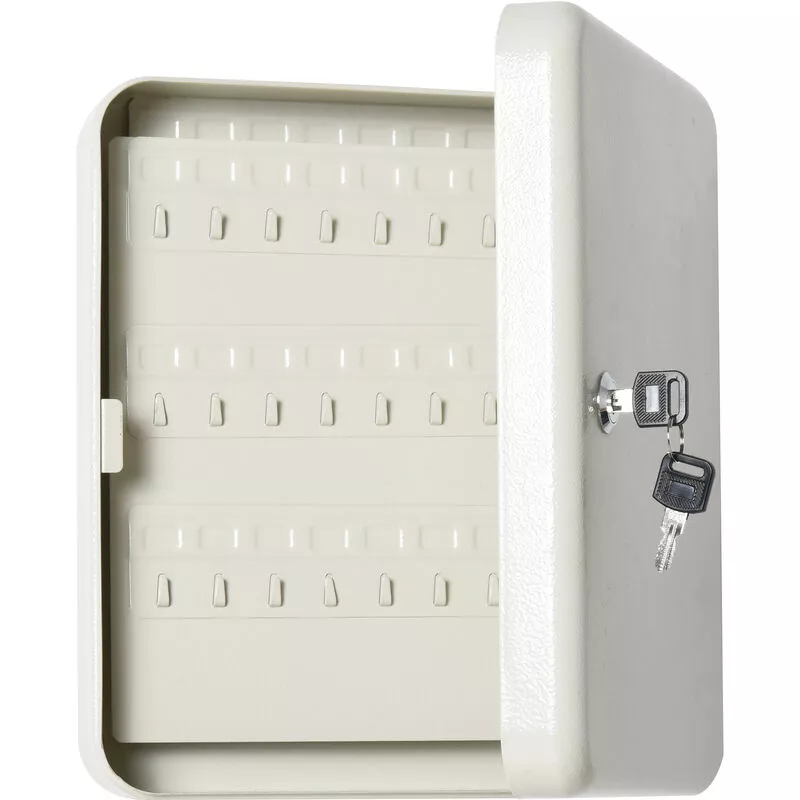 Armario de Llaves con 93 Ganchos Etiquetas de Alta Seguridad 30x24x7