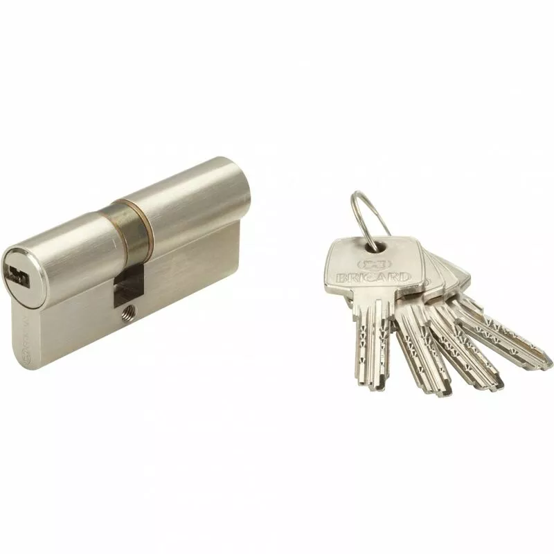 Bricard - Cerradura astral cilindro desconectable L.30 + 40 mm barato