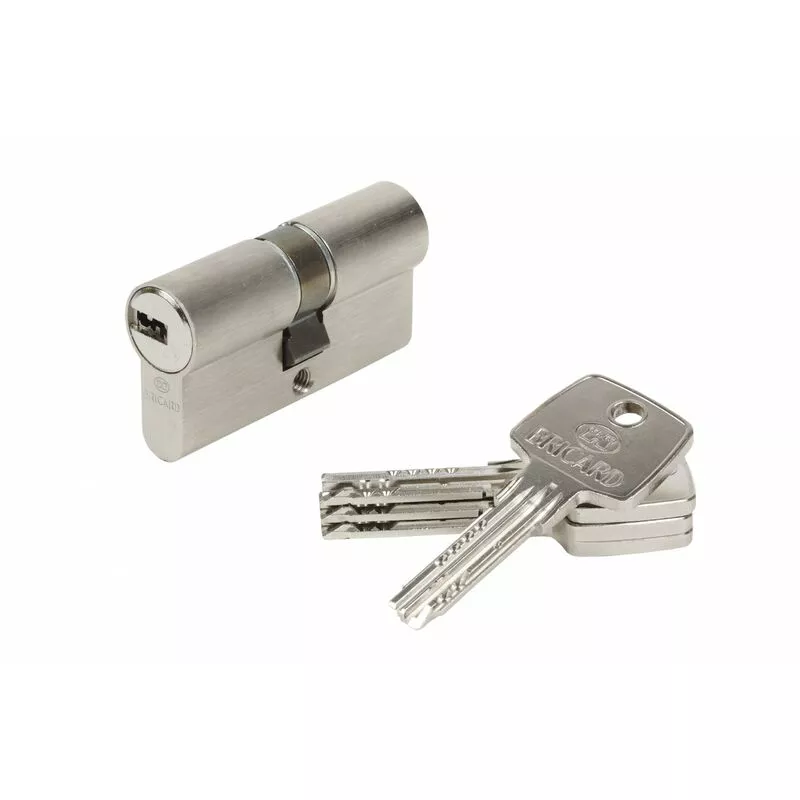 Bricard - Cilindro de cerradura astral L.30 + 30 mm barato
