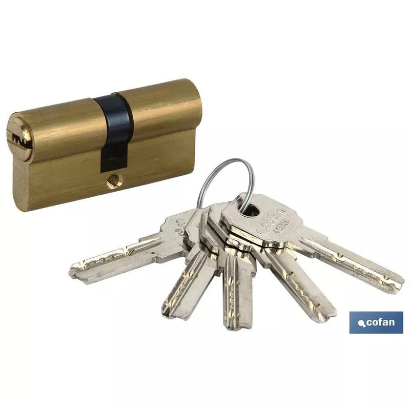 Bricolajeonlinees - cilindro de seguridad de níquel para llave normal 30/30 - leva larga barato