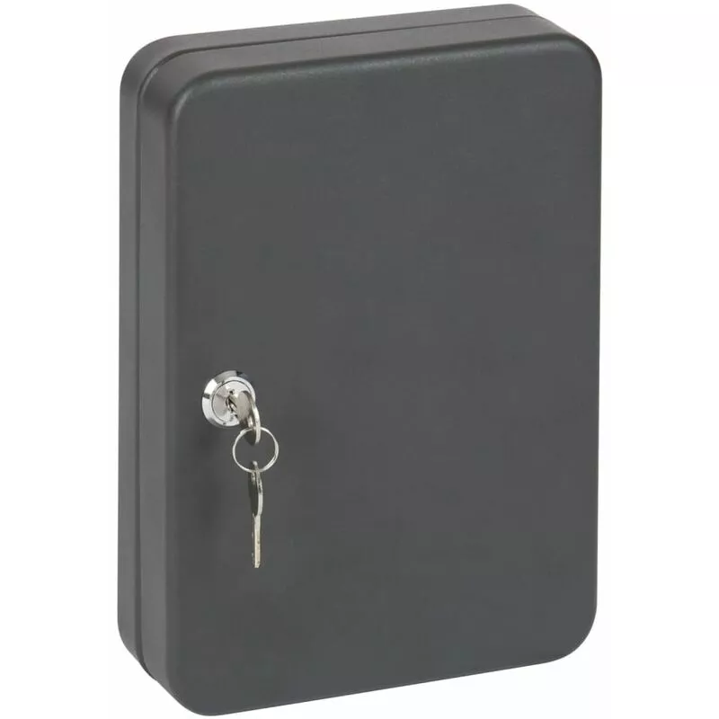 Caja de llaves con cerradura para 24 llaves antracita mate Practo Home Negro barato