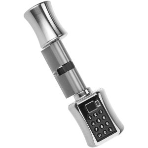 Cerradura de cilindro inteligente con aplicación Tuya Cerradura de puerta de huella digital electrónica sin llave BT Código de bloqueo de contraseña barato