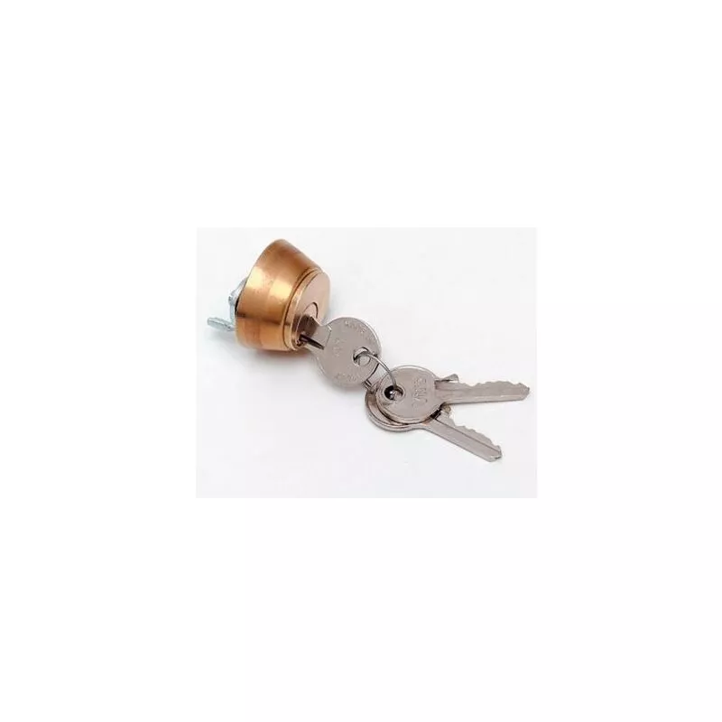 Cilindro Electrocerradura Interior N° 10 Faac 71265101 En Oferta Cilindro Electrocerradura Interior N° 10 Faac 71265101 Barato