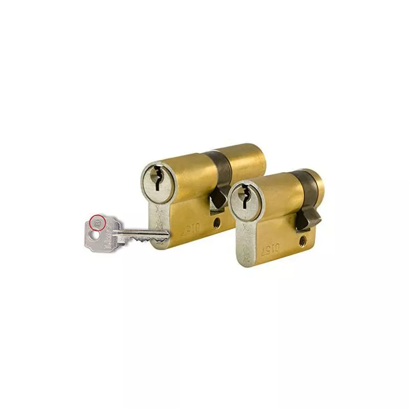 Cilindro c 033010-N - Lince barato