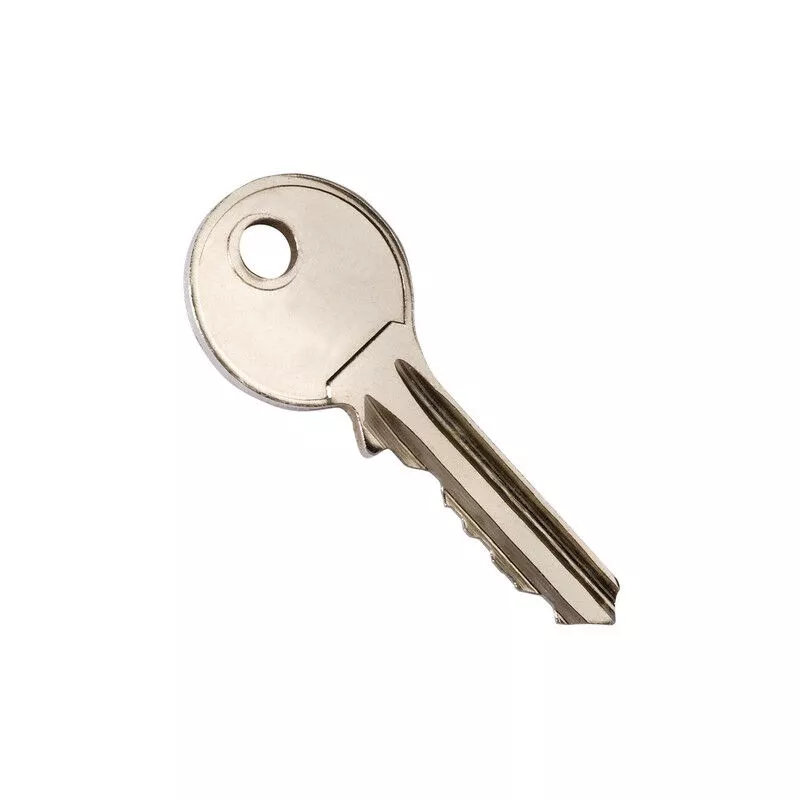 Cilindro de latón 80 mm (40x40) V5x40 serie c 3601659748649 Ifam 674864 barato