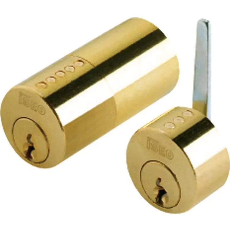 Iséo - Cilindro iseo f5 para cerradura 500 barato