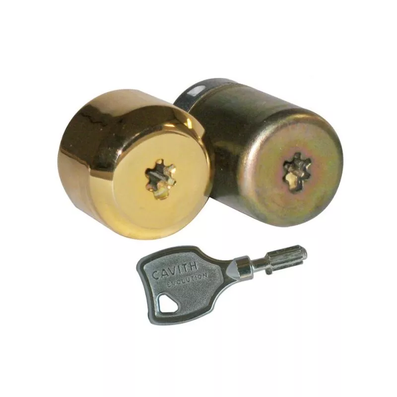 Iséo - Juego de Cilindros Cavith Iseo Original / Tarjeta de Propiedad A2P barato