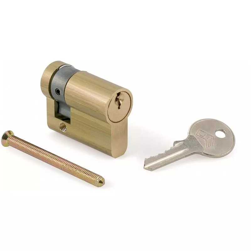 JIS - Cilindro R/2000-40 Medio Cilindro Agua - Latón Mate barato