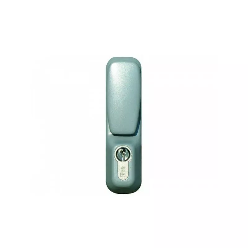 Juego de pomos grandes antivandálicos iseo - Gris metálico - 94012007T barato