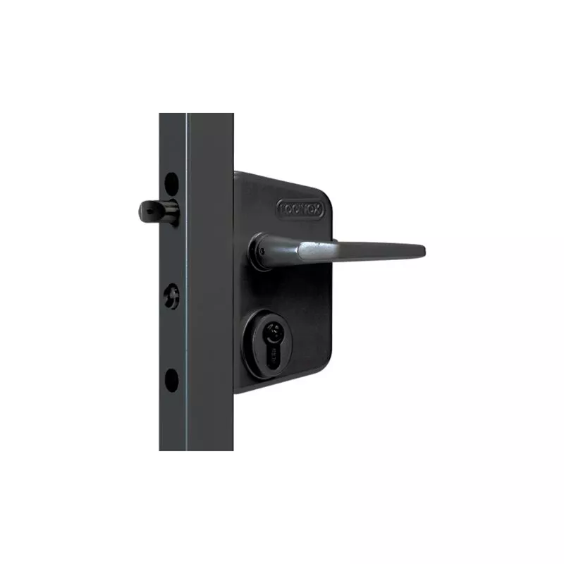 Locinox - Cerradura Ral 9005 Negro manilla + cilindro - perfil 30 a 50 - LAKQ3030 U2L barato