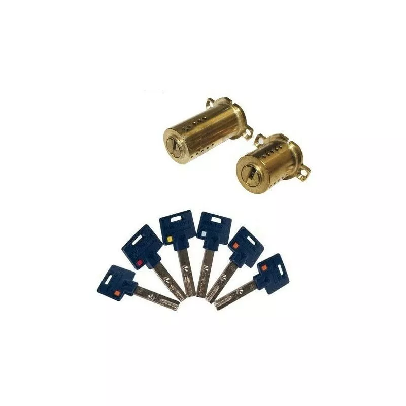 Mul-t-lock - Juego De Cilindros cheba k de Alta Seguridad. Adaptable a 787 Fichet / Llaves incopiables