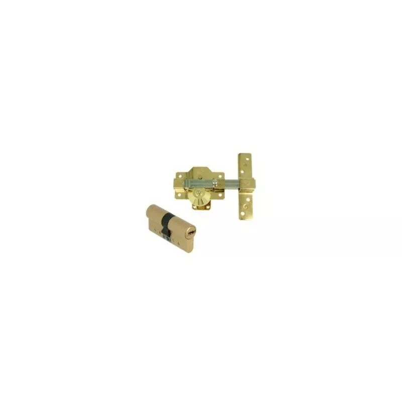 Pack Seguridad 1e-Plus 62 (31-31) Oro(S) - Amig barato