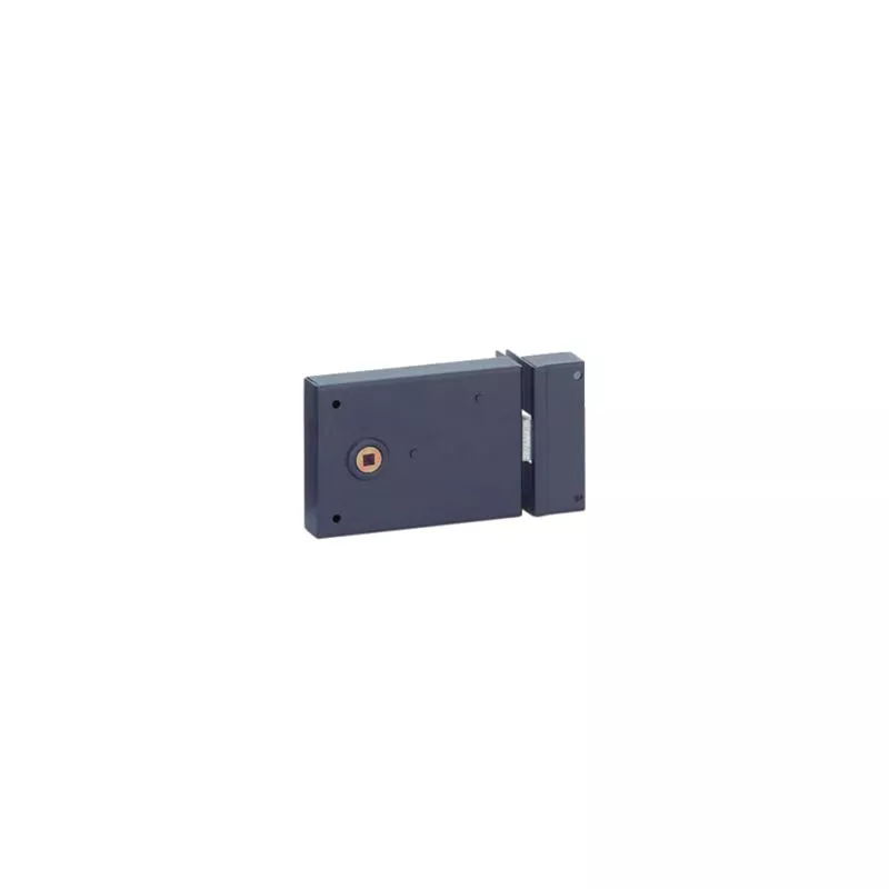 Thirard - Cerradura de caña reversible horizontal epoxi negro 110x80 mm C6 - 000110 barato