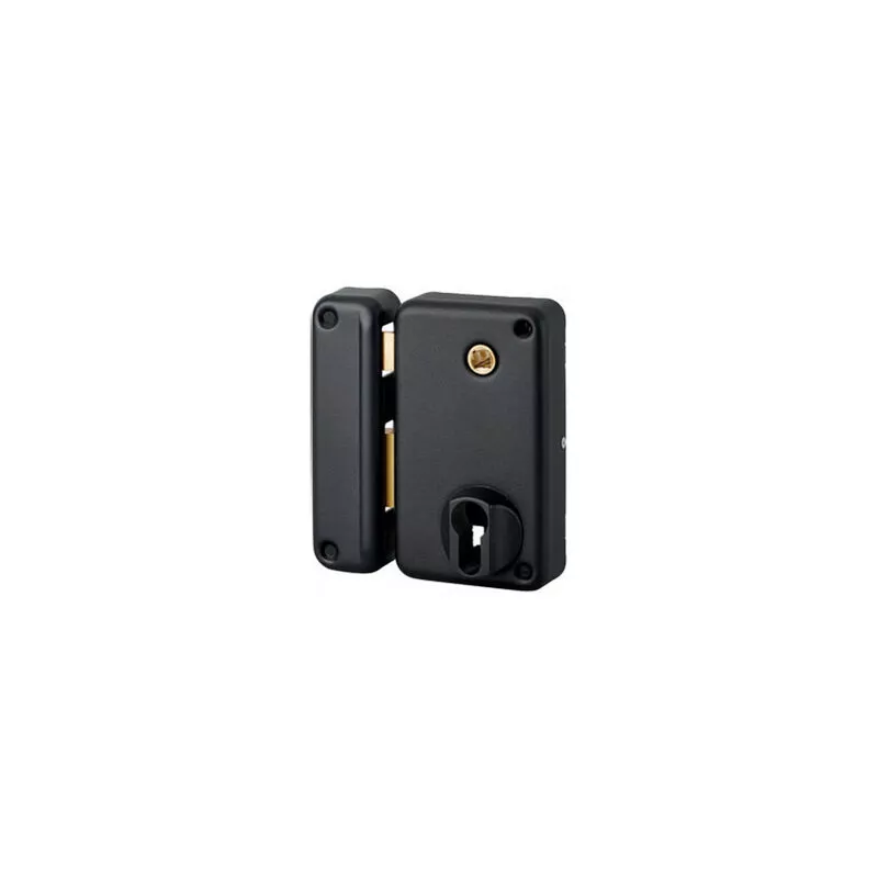 Thirard - Cerradura vertical de superficie Perno - Cilindro europeo - Izquierda - 75x130 - 009826 barato