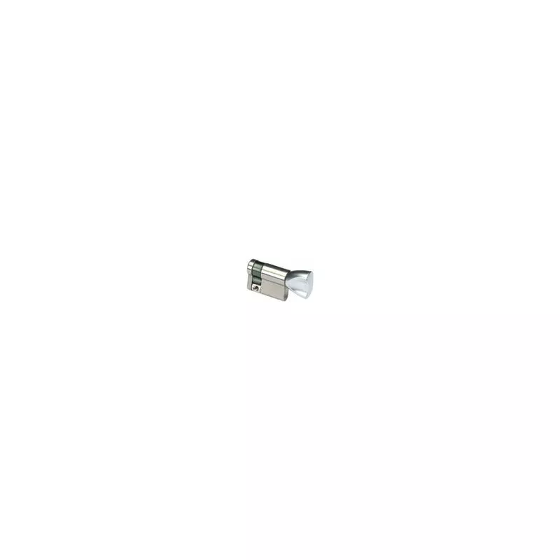 Thirard - Medio cilindro HG5 con pomo vachette - Latón niquelado - 30x10 mm - 00073011 barato