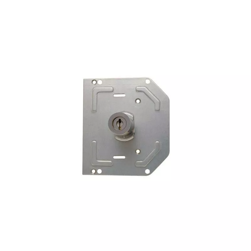 Tover - Cilindro recambio series 6000/7000/8000/9000 izquierda barato